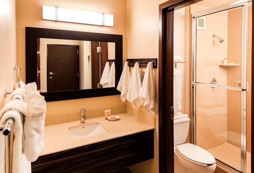 غرفة قياسية سرير كينج, Eureka Casino Resort