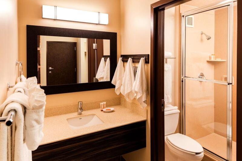 غرفة قياسية سرير كينج, Eureka Casino Resort