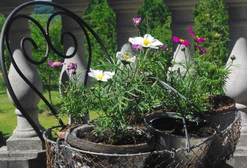 חדר סטנדרט עם טרסה, Le Manoir De Crisolles