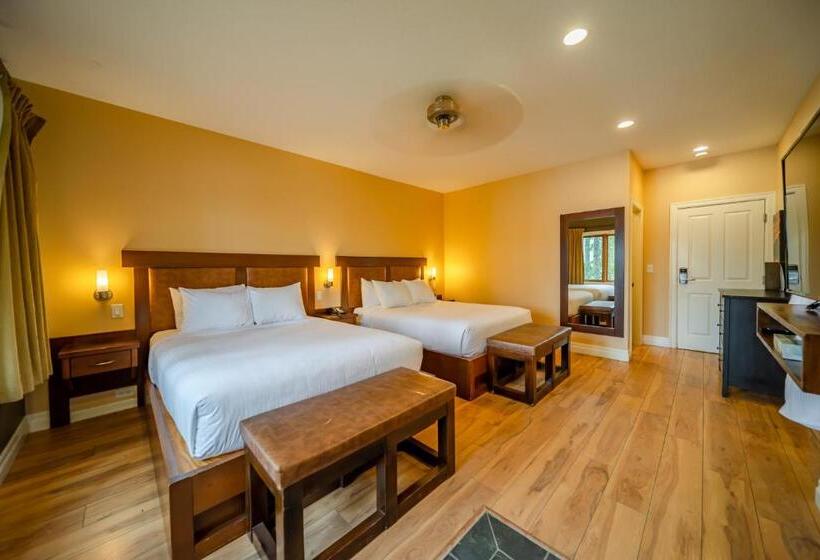 Студия Стандарт, Halcyon Hot Springs Resort