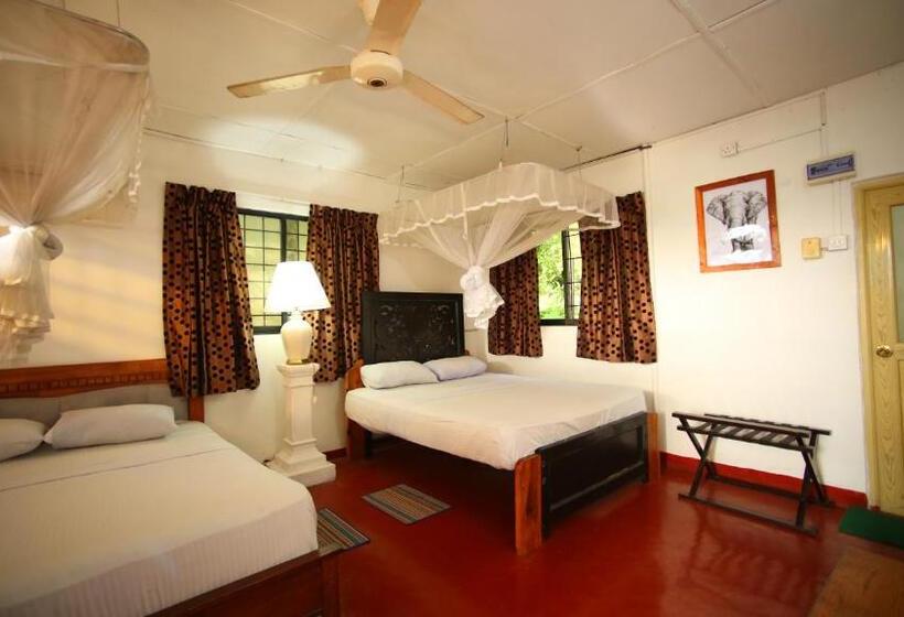 스탠다드 트리플 룸, S And K Safari Village Hotel   Wasgamuwa