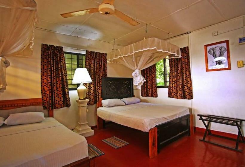 חדר סטנדרט, S And K Safari Village Hotel   Wasgamuwa