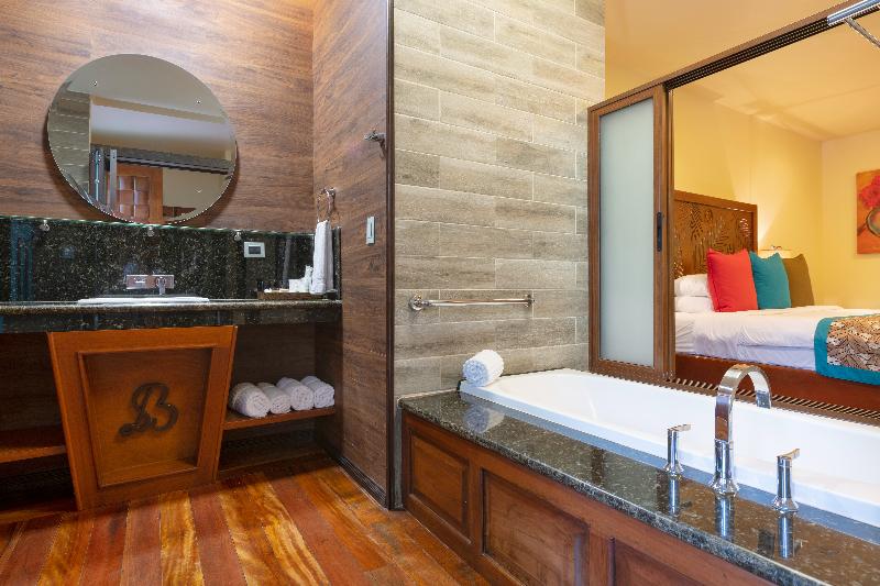 Полулюкс, Baldi Hot Springs Hotel & Spa