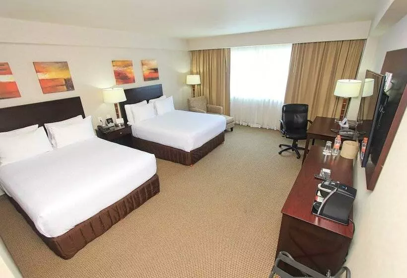 スタンダードルーム, Crowne Plaza Leon, An Ihg