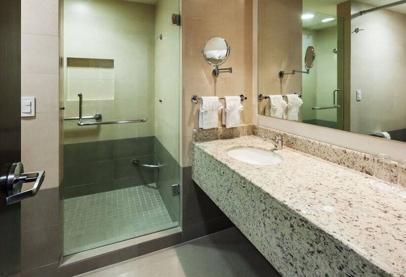 Номер Стандарт 2 Двуспальные Кровати, Crowne Plaza Leon, An Ihg