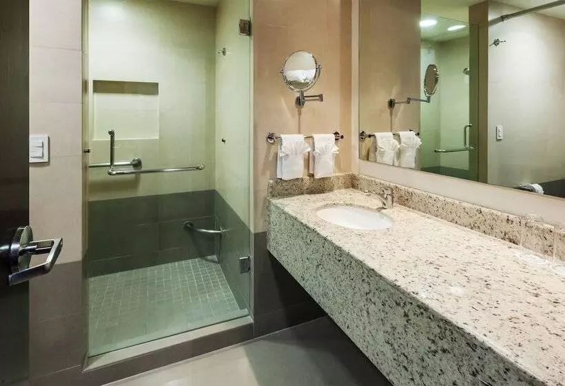 ２ダブルベッドのスタンダードルーム, Crowne Plaza Leon, An Ihg
