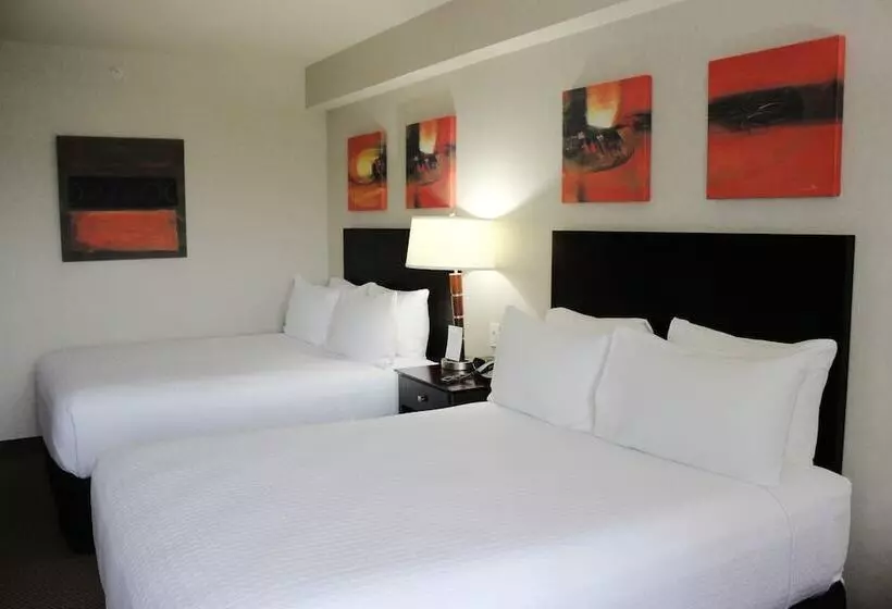 ２ダブルベッドのスタンダードルーム, Crowne Plaza Leon, An Ihg