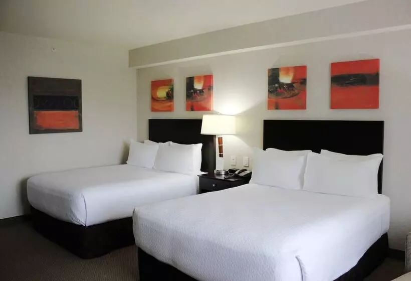 ２ダブルベッドのスタンダードルーム, Crowne Plaza Leon, An Ihg