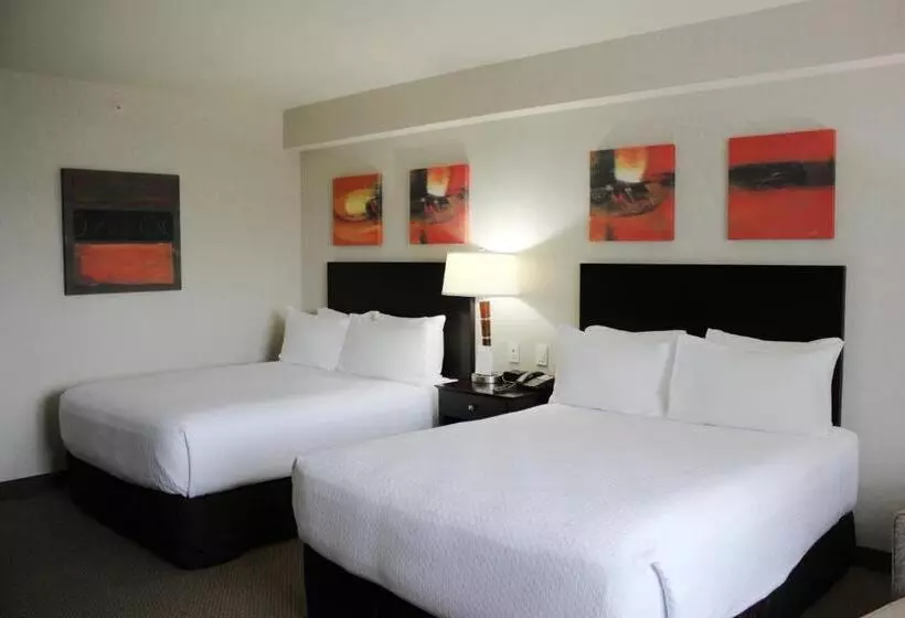 ２ダブルベッドのスタンダードルーム, Crowne Plaza Leon, An Ihg