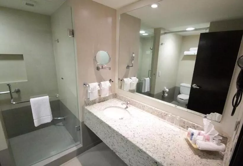キングサイズベッドのスタンダードルーム, Crowne Plaza Leon, An Ihg