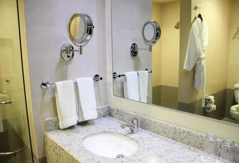 キングサイズベッドのスタンダードルーム, Crowne Plaza Leon, An Ihg