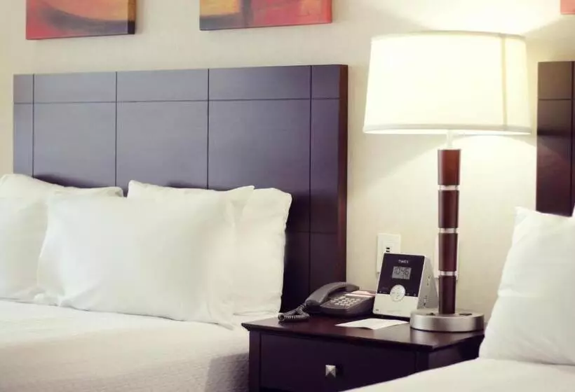 キングサイズベッドのスタンダードルーム, Crowne Plaza Leon, An Ihg