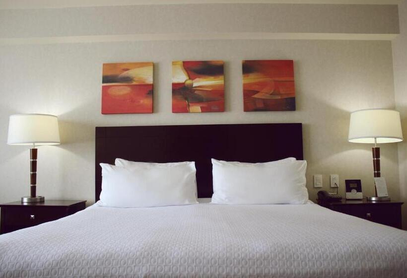 Стандартный Номер Кровать Кинг, Crowne Plaza Leon, An Ihg