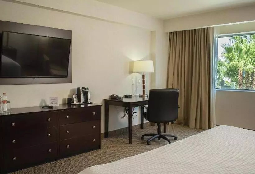 キングサイズベッドのスイートルーム, Crowne Plaza Leon, An Ihg