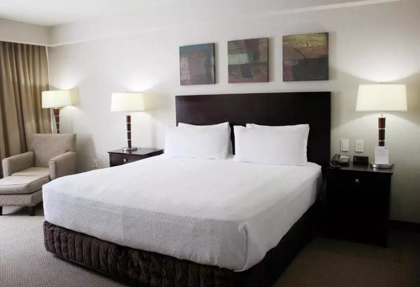 キングサイズベッドのスイートルーム, Crowne Plaza Leon, An Ihg