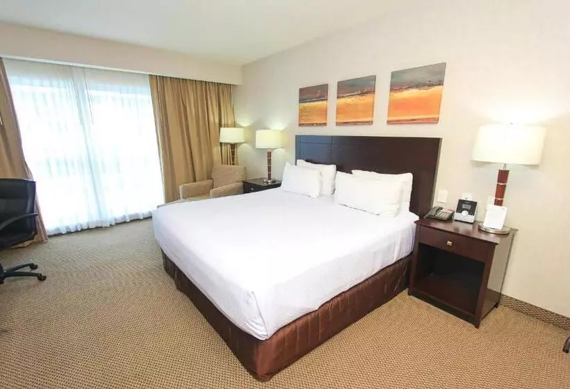 キングサイズベッドのスイートルーム, Crowne Plaza Leon, An Ihg