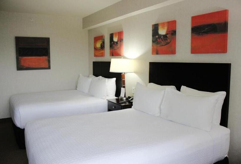 Номер Стандарт, Crowne Plaza Leon, An Ihg