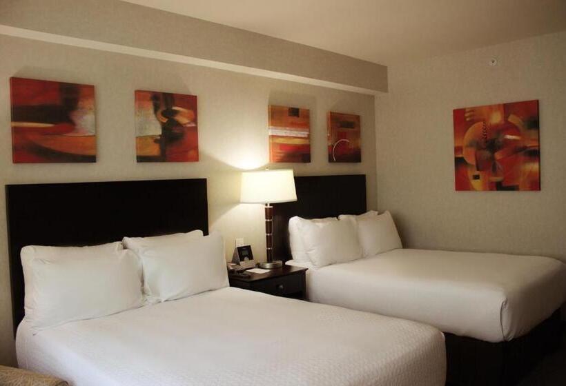 Номер Стандарт, Crowne Plaza Leon, An Ihg