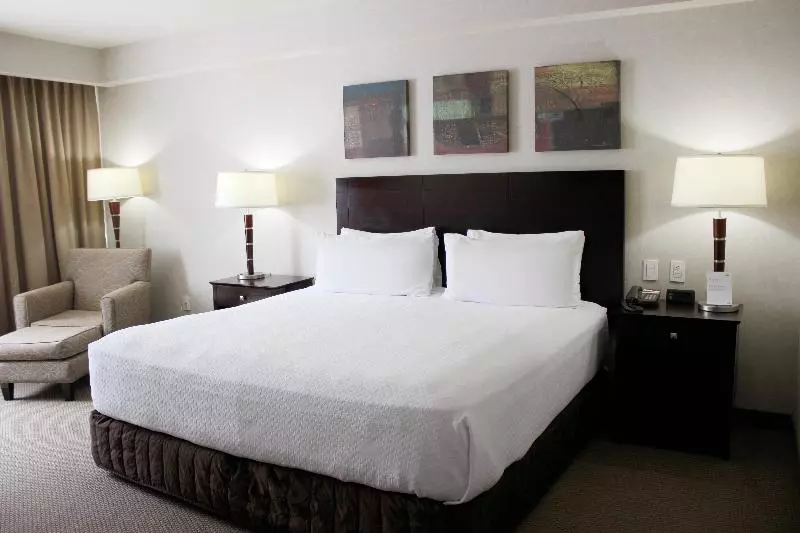 キングサイズベッドのスイートルーム, Crowne Plaza Leon, An Ihg