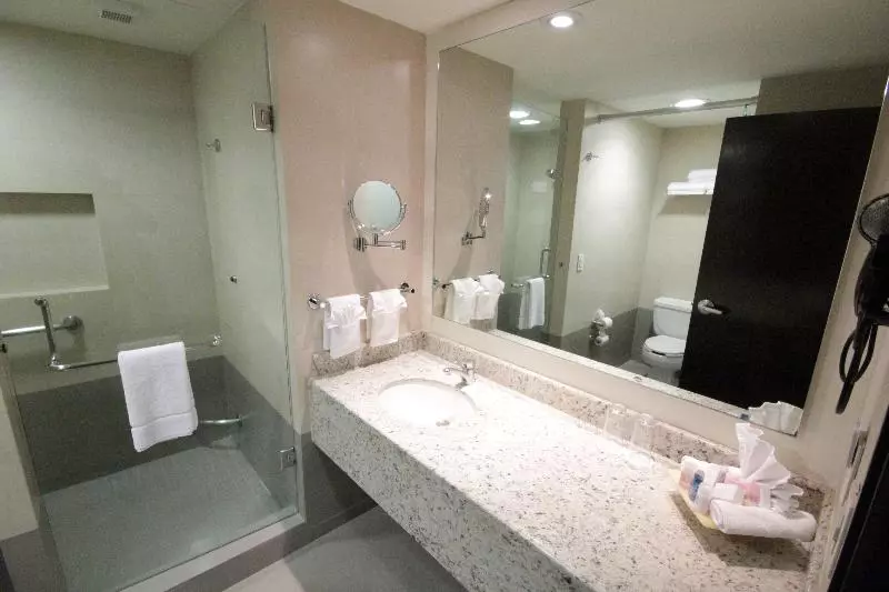 キングサイズベッドのスタンダードルーム, Crowne Plaza Leon, An Ihg