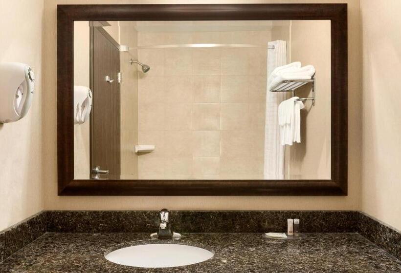 غرفة قياسية سرير كينج, Days Inn By Wyndham Innisfail