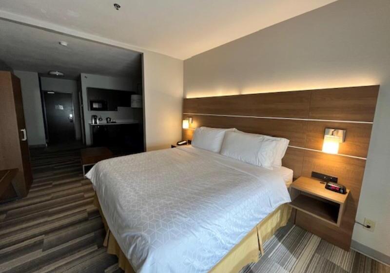 带大床的行政房间, Holiday Inn Express Hotel & Suites Edmonton South, An Ihg