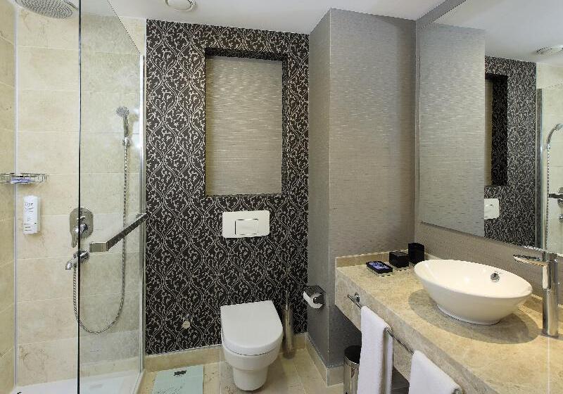 장애인을 위한 스탠다드 룸, Holiday Inn Express Frisco Legacy Park Area By Ihg