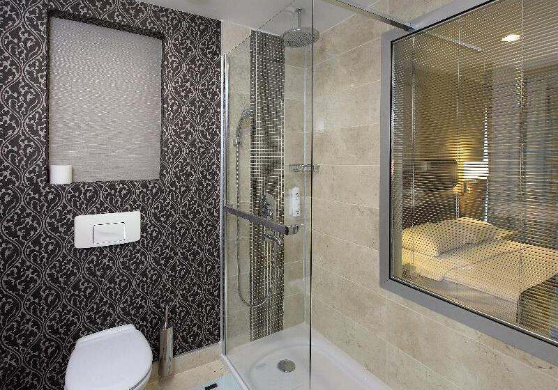 غرفة قياسية لذوى الاحتياجات الخاصة, Holiday Inn Express Frisco Legacy Park Area By Ihg