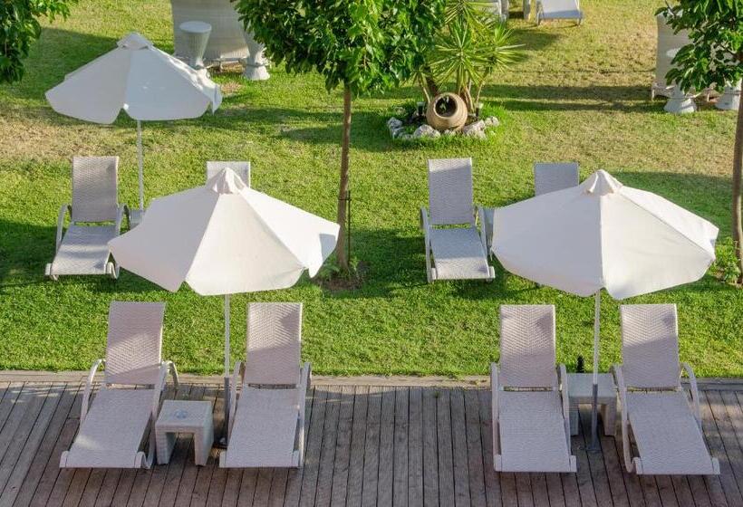 חדר משפחתי דלוקס, Palmyra