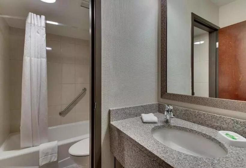 キングサイズベッドのデラックスルーム, Pear Tree Inn St Louis Airport