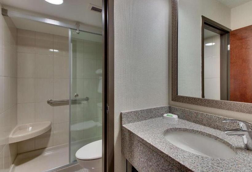 غرفة ديلوكس سرير كينج, Pear Tree Inn St Louis Airport