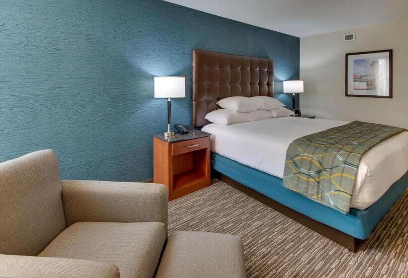 带大床的豪华间, Pear Tree Inn St Louis Airport