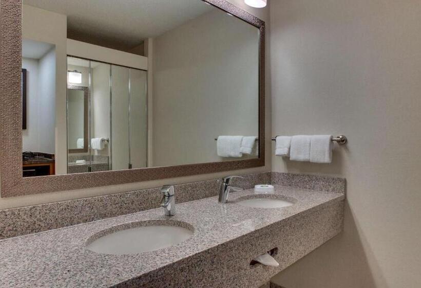 غرفة ديلوكس سرير كينج, Pear Tree Inn St Louis Airport