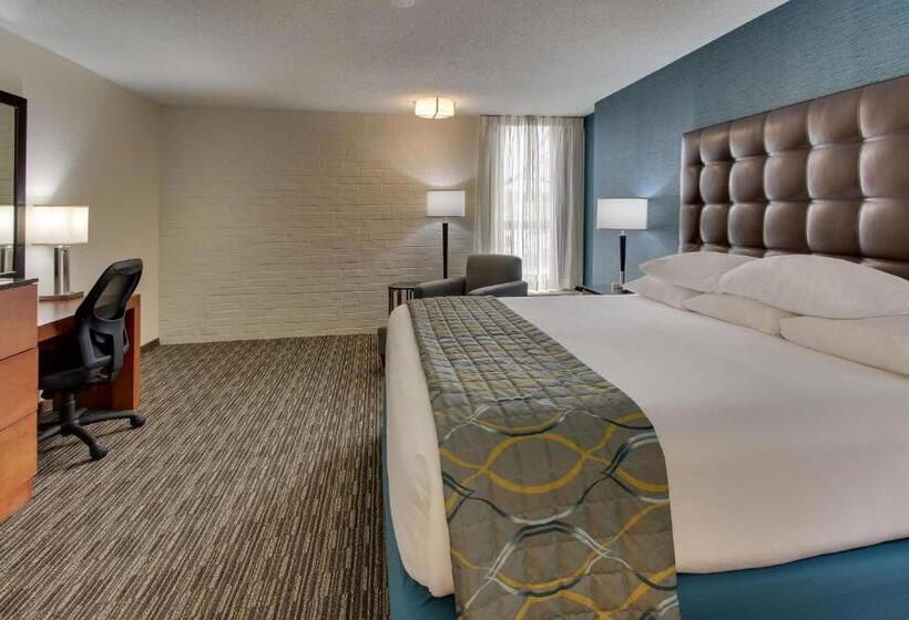 带大床的豪华间, Pear Tree Inn St Louis Airport