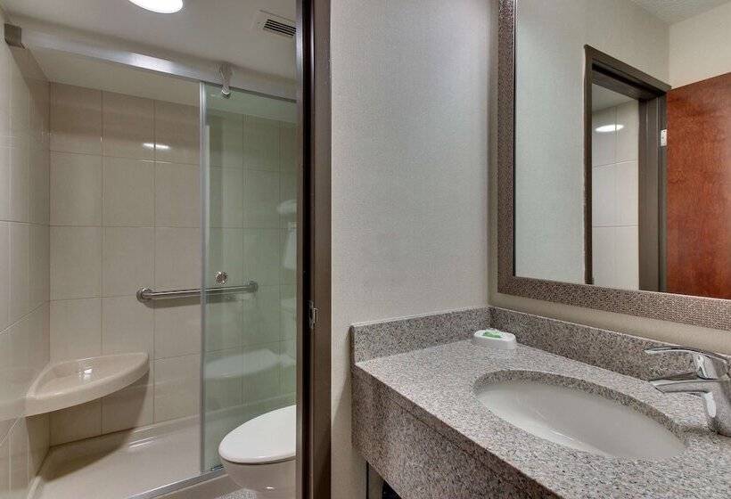 غرفة ديلوكس, Pear Tree Inn St Louis Airport