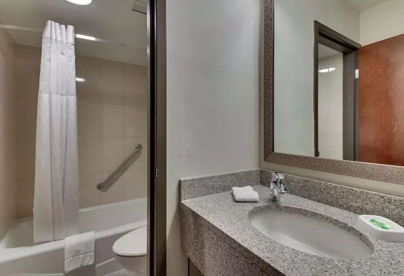 障害者適応デラックスルーム, Pear Tree Inn St Louis Airport