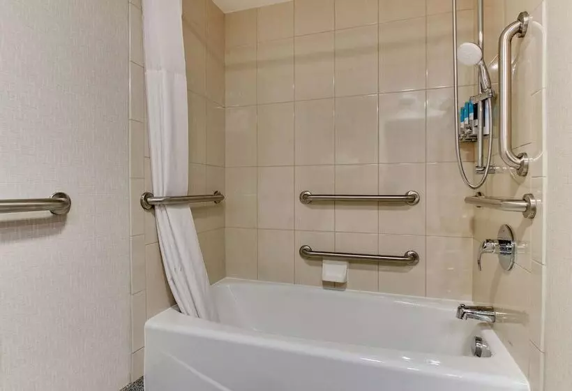 障害者適応デラックスルーム, Pear Tree Inn St Louis Airport