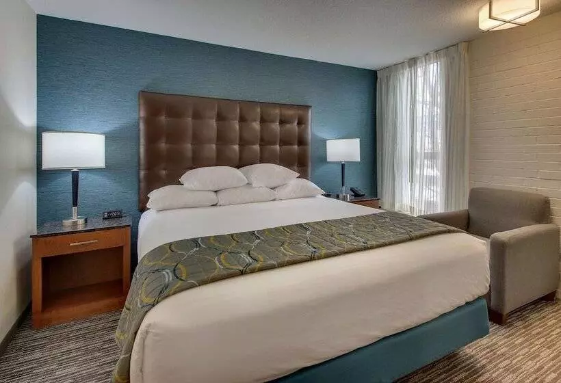 障害者適応デラックスルーム, Pear Tree Inn St Louis Airport