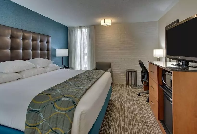 障害者適応デラックスルーム, Pear Tree Inn St Louis Airport