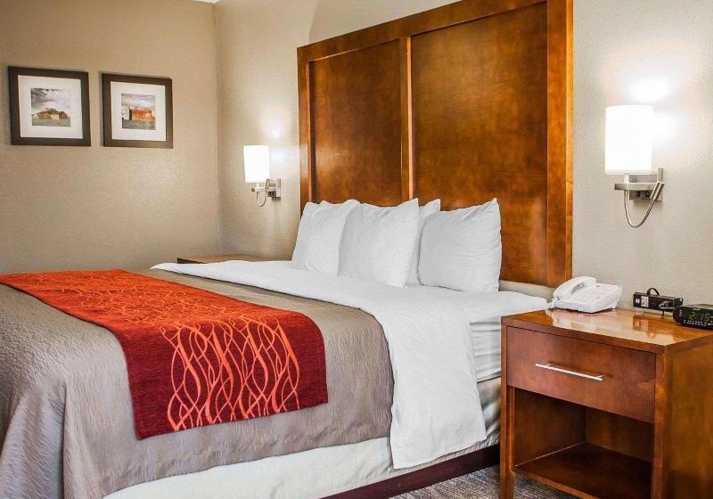 غرفة قياسية, Quo Vadis