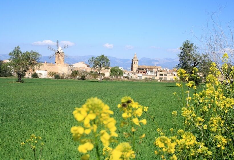 디럭스 룸, Petit Hotel Algaida