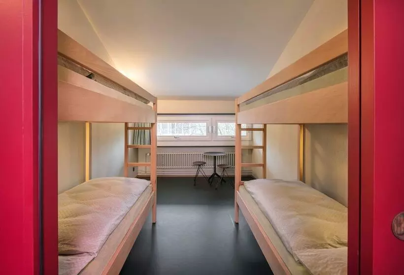 اتاق استاندارد چهارنفره با سرویس بهداشتی مشترک, Bern Youth Hostel