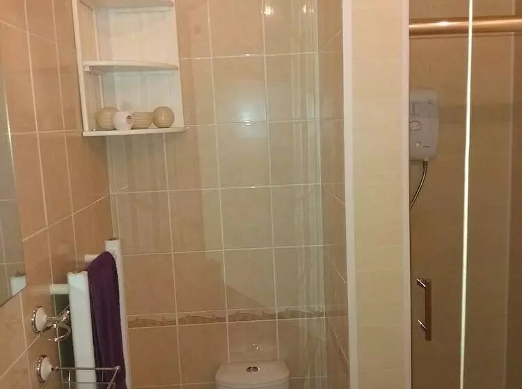 Standard Kolmen Hengen Huone, Parasol Weston Guest House
