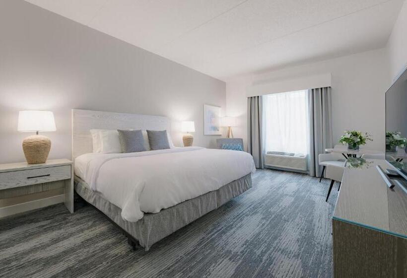 Büyük Çift Kişilik Yataklı Standart Oda, Bethany Beach