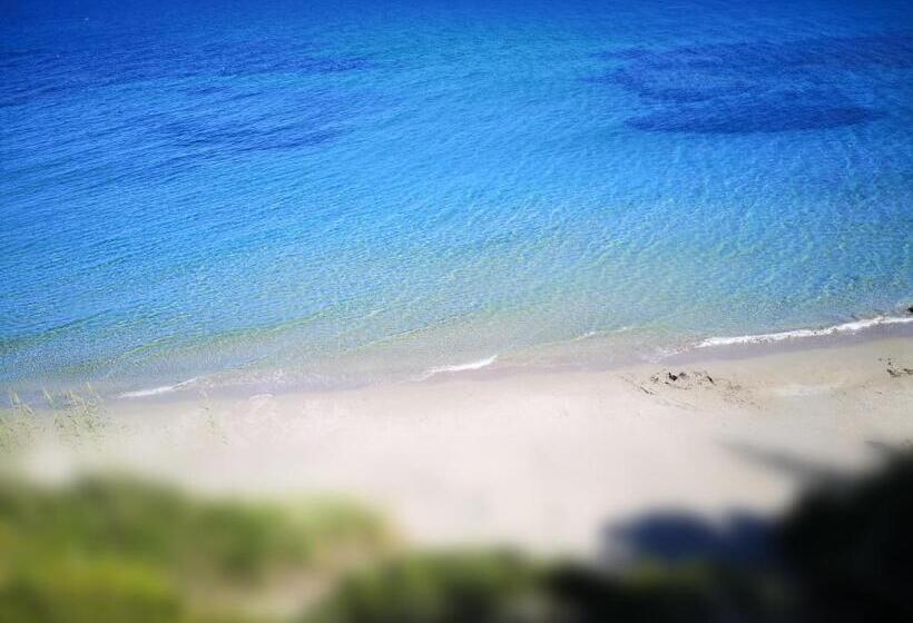 高级园景房, Colonides Beach