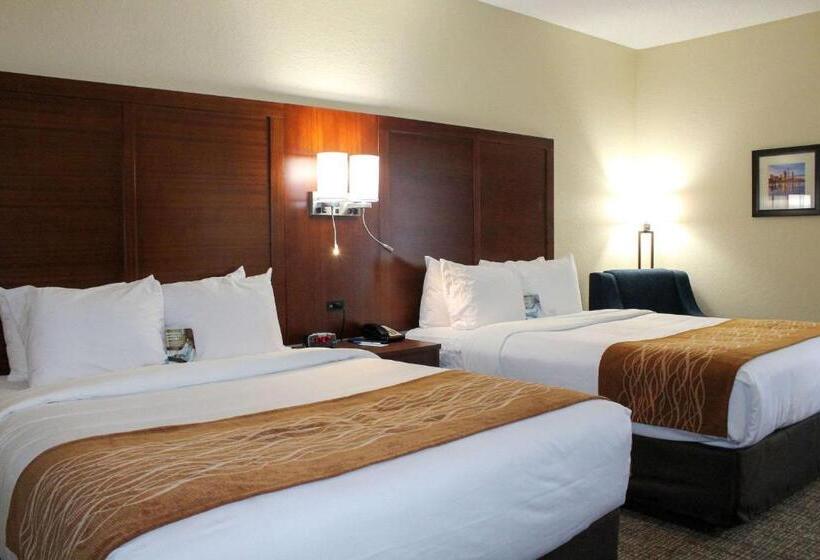 스탠다드 룸, Comfort Inn & Suites Fultondale Gardendale I65
