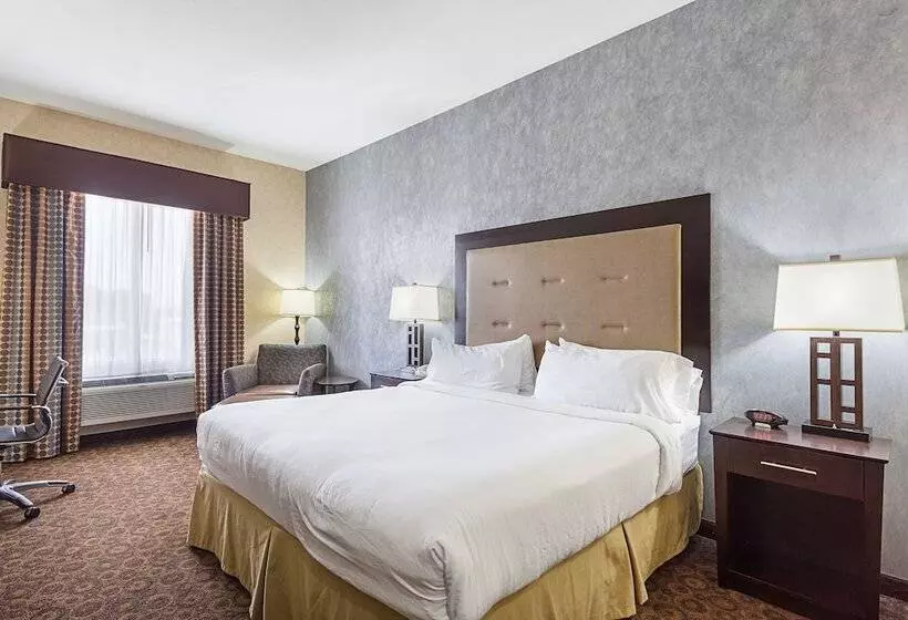 身障者適用スイートルーム, Holiday Inn Express Hotel & Suites Byram, An Ihg
