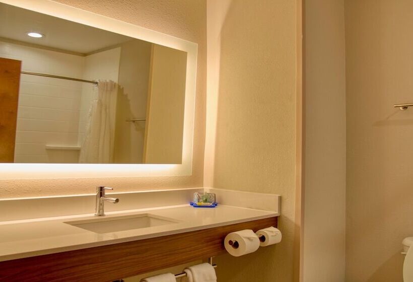 Люкс Адаптированный для Инвалидов, Holiday Inn Express Hotel & Suites Byram, An Ihg