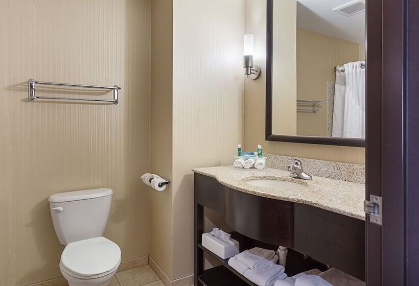 Люкс, Holiday Inn Express Hotel & Suites Byram, An Ihg
