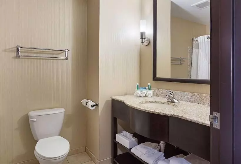 スイート, Holiday Inn Express Hotel & Suites Byram, An Ihg